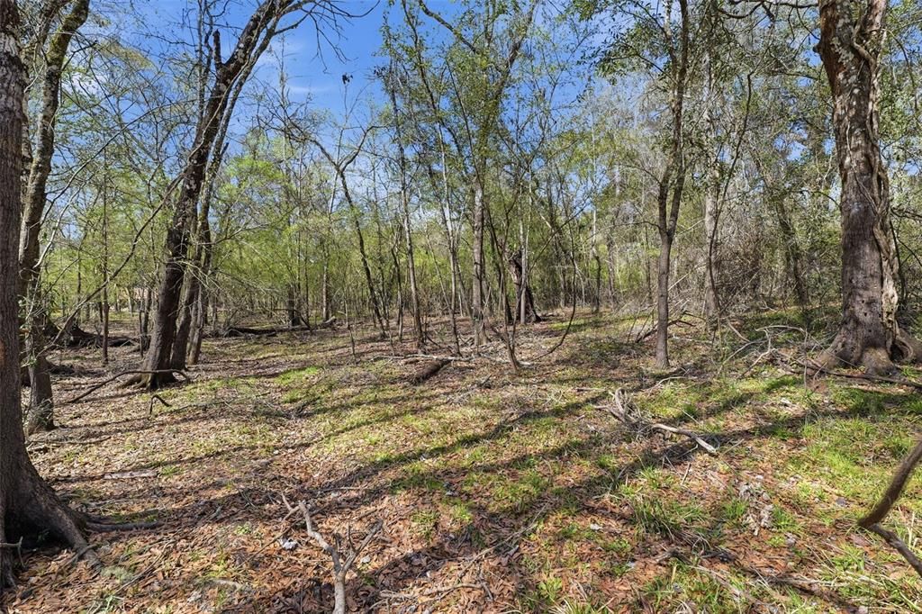En Venta: $19,000 (0.70 acres)