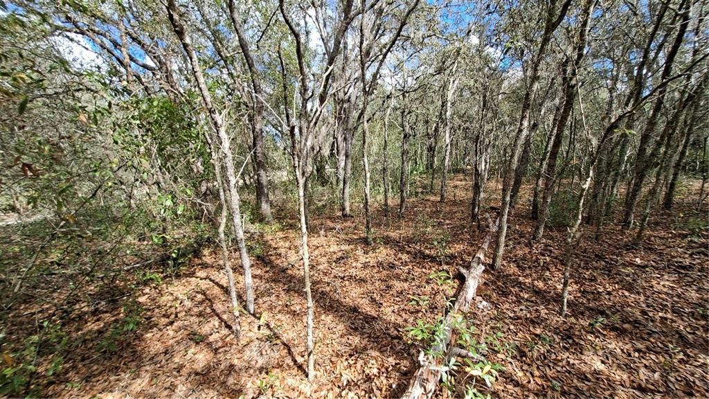 En Venta: $40,000 (0.28 acres)