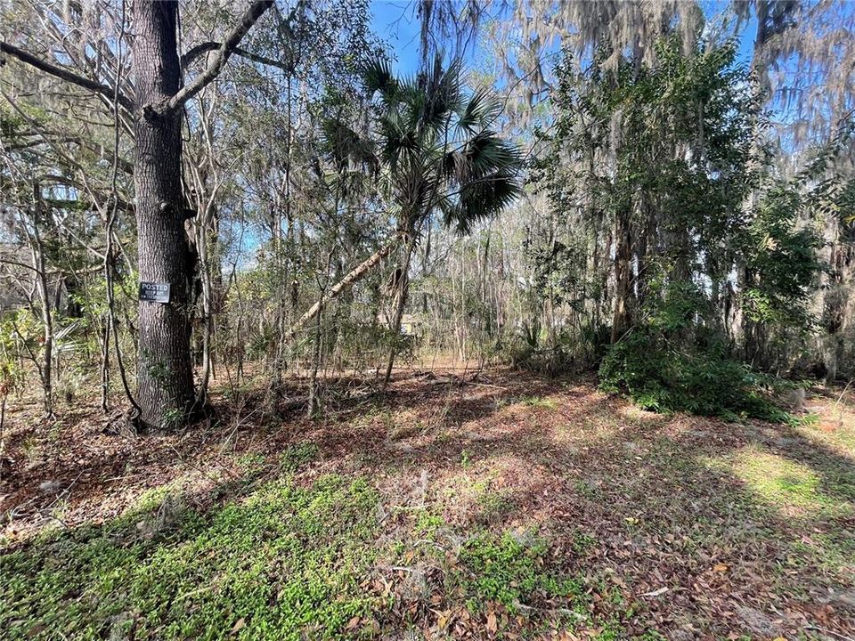 На продажу: $49,900 (0.42 acres)