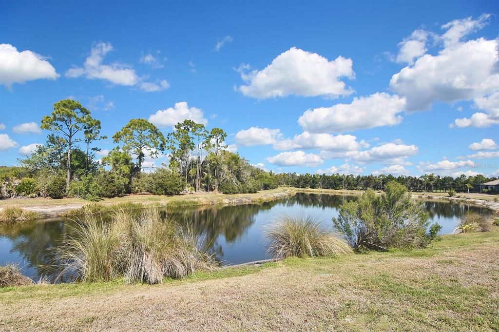 Под контрактом: $475,000 (3 спален, 2 ванн, 1845 Квадратных фут)