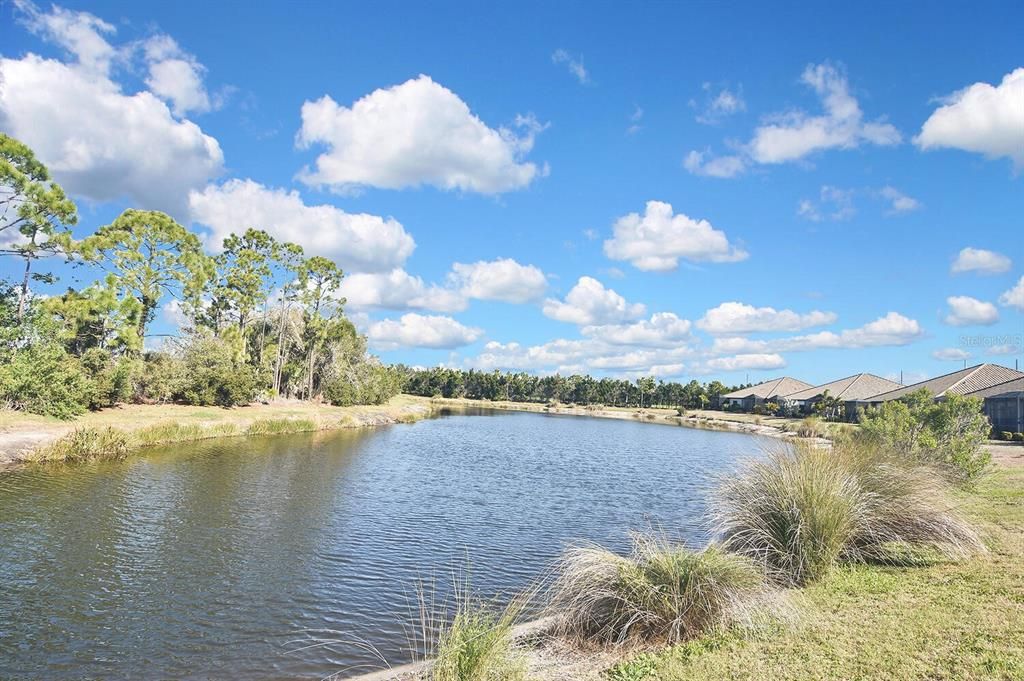 Под контрактом: $475,000 (3 спален, 2 ванн, 1845 Квадратных фут)