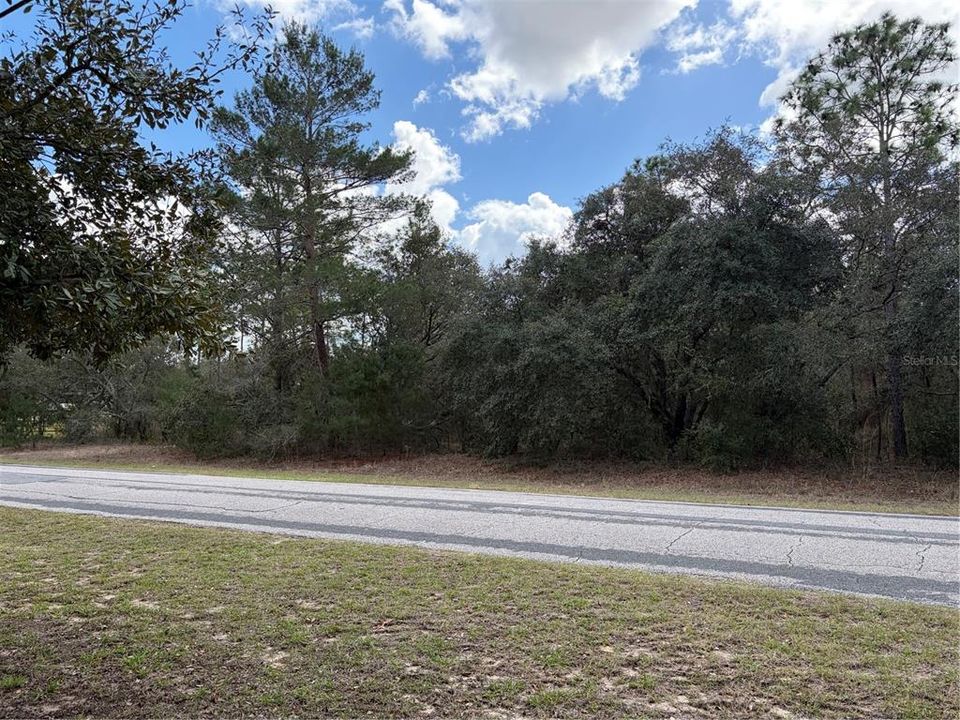 待售: $159,000 (3.19 acres)