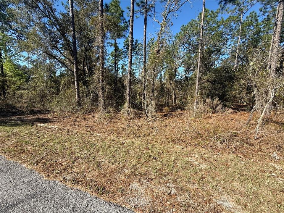 待售: $23,000 (1.00 acres)