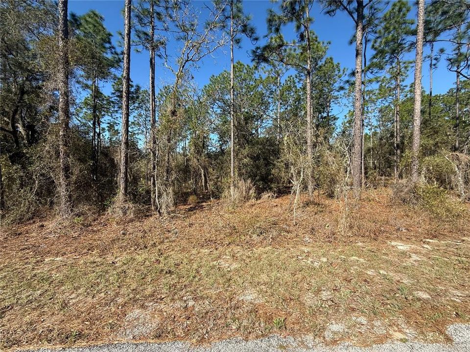 待售: $23,000 (1.00 acres)