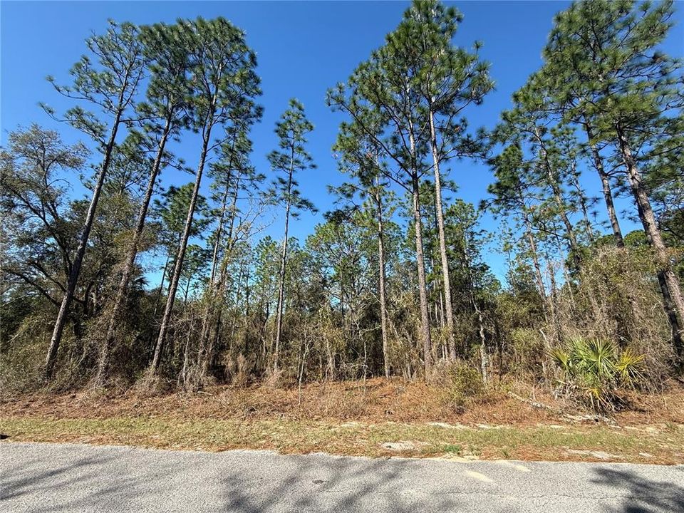 待售: $23,000 (1.00 acres)