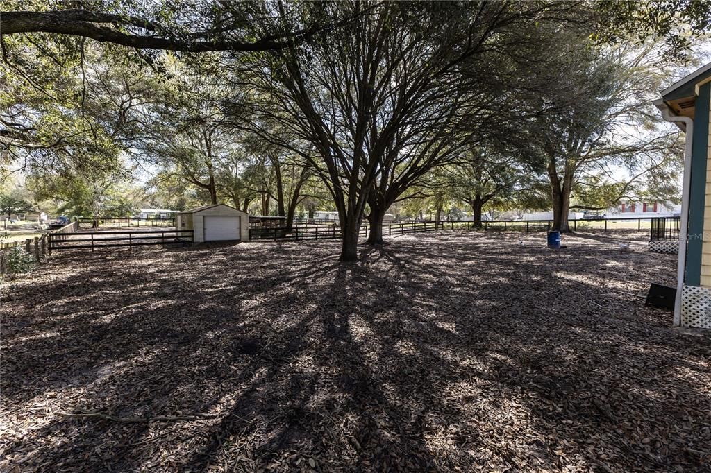 Active With Contract: $230,000 (3 beds, 2 baths, 1144 Square Feet)