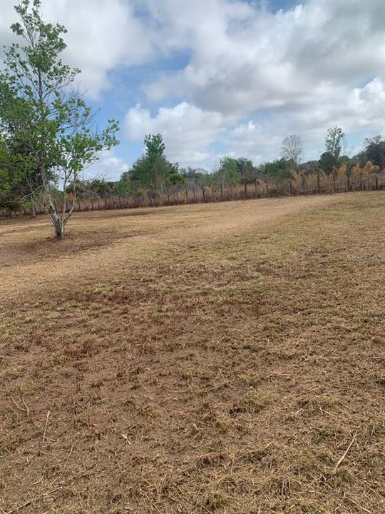 For Sale: $74,900 (1.25 acres)