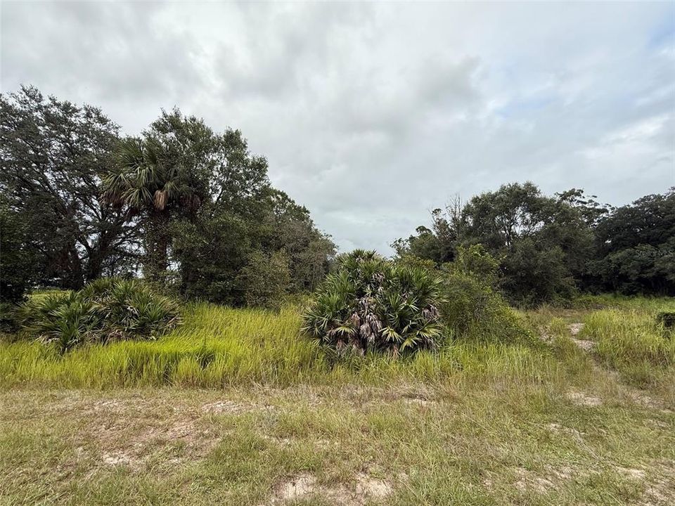 Vendido Recientemente: $25,900 (1.25 acres)