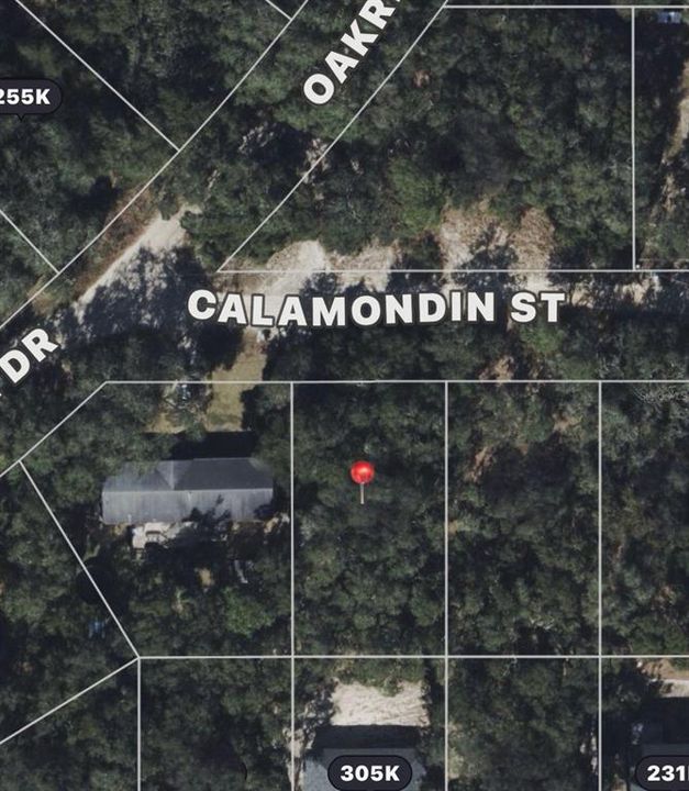 待售: $24,000 (0.20 acres)