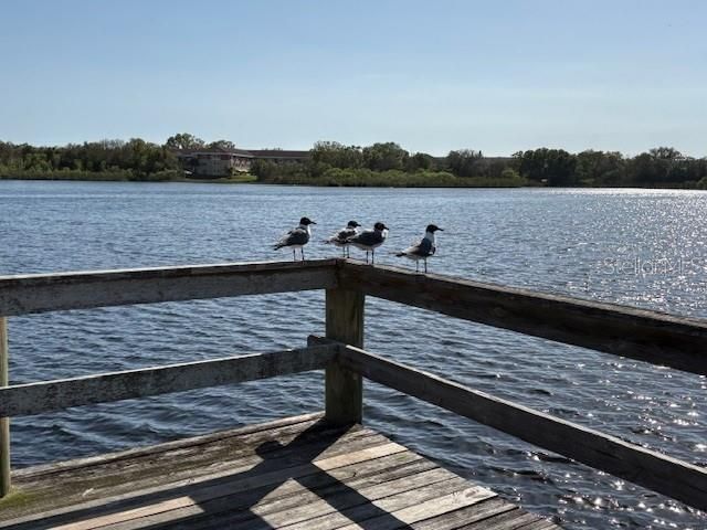 Active With Contract: $279,000 (2 beds, 2 baths, 1675 Square Feet)