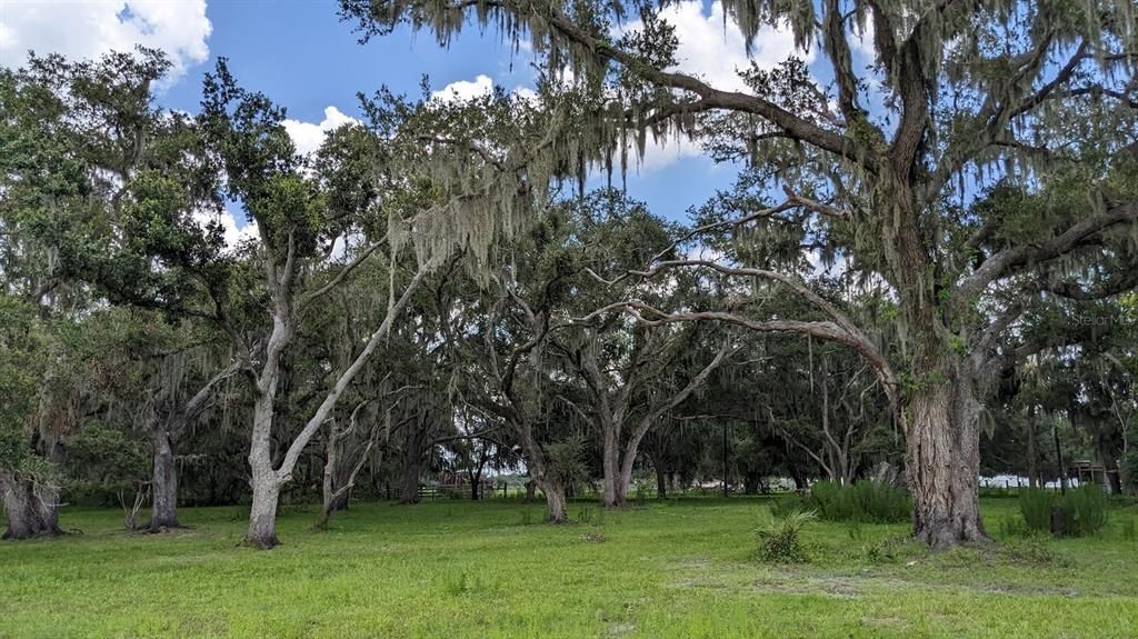 На продажу: $835,000 (20.15 acres)
