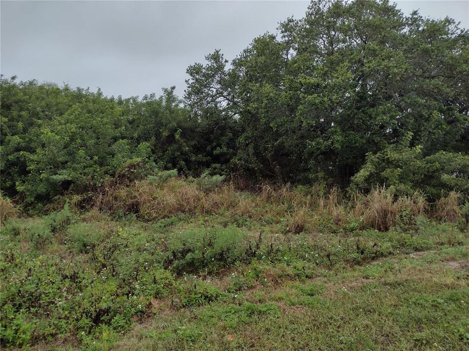 待售: $1,150,000 (1.85 acres)