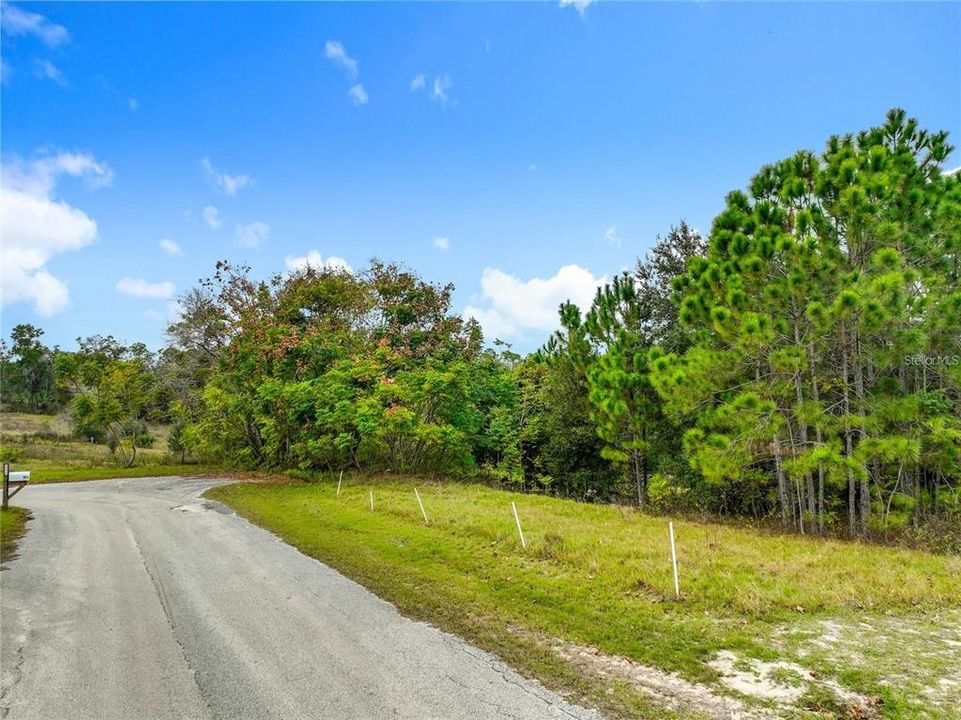 For Sale: $168,000 (1.06 acres)
