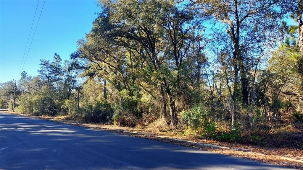 Active With Contract: $23,900 (0.98 acres)