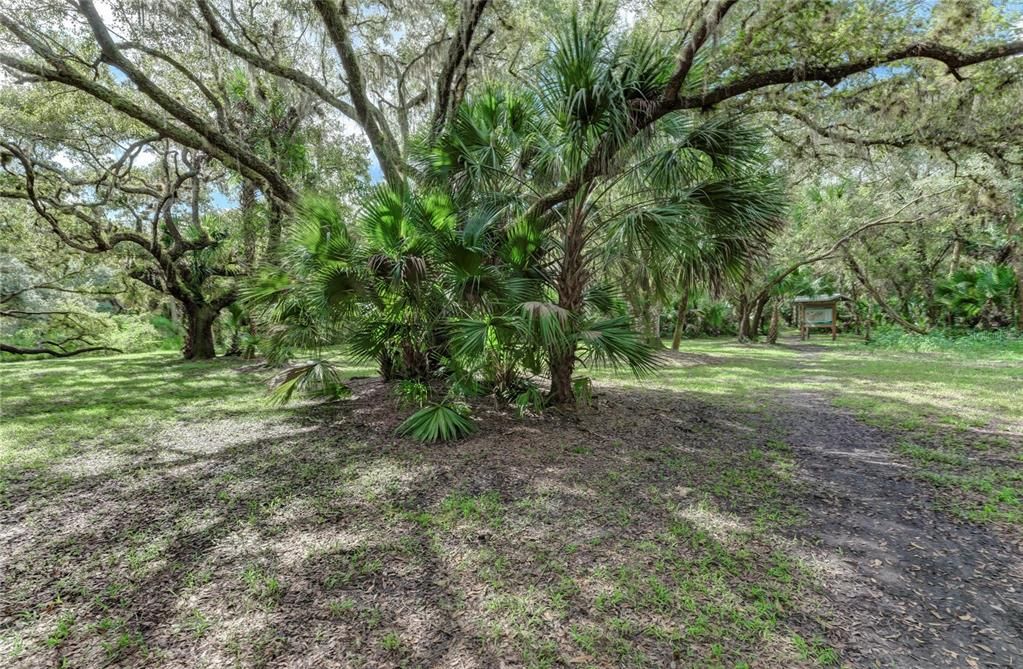 For Sale: $65,000 (0.17 acres)