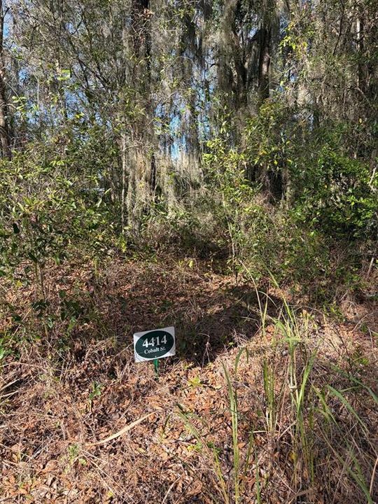 For Sale: $26,450 (0.17 acres)