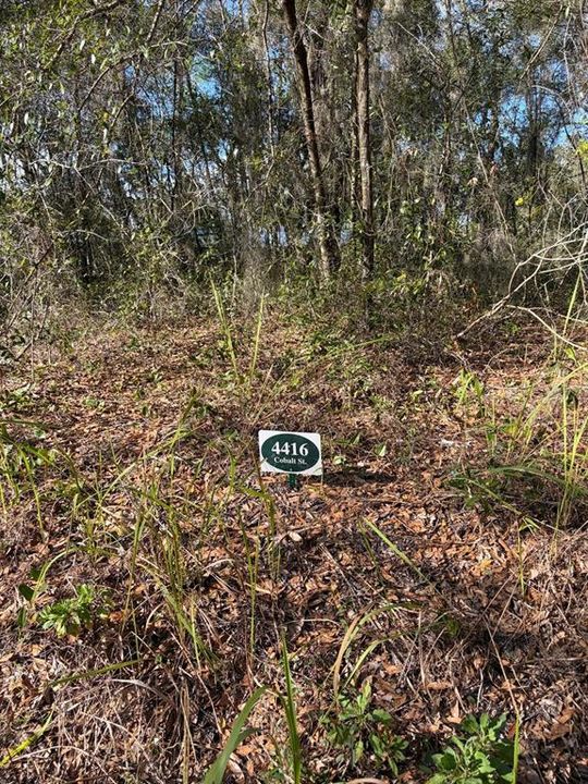 For Sale: $26,450 (0.17 acres)