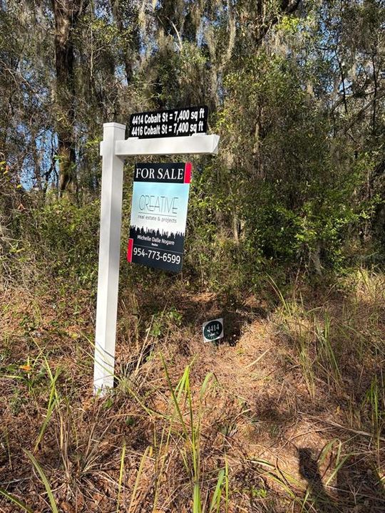 For Sale: $26,450 (0.17 acres)