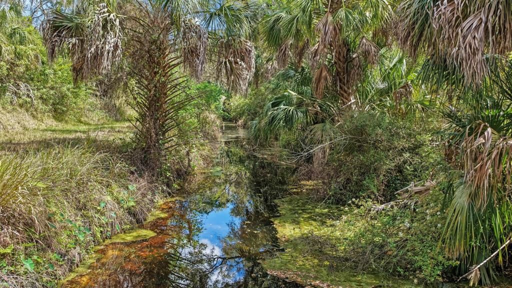 En Venta: $250,000 (2.76 acres)