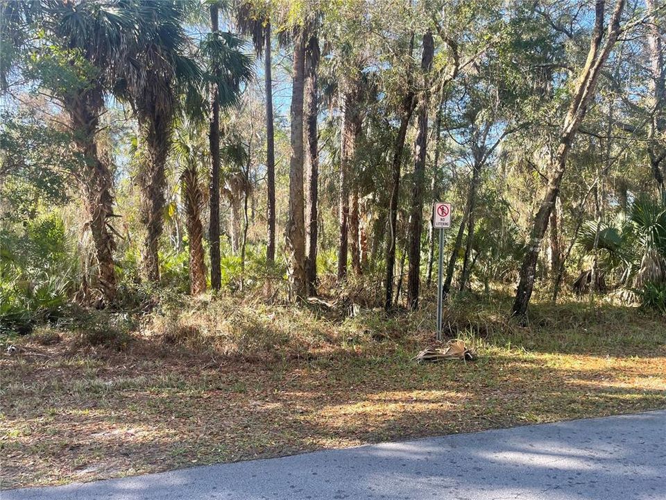 For Sale: $25,900 (0.50 acres)