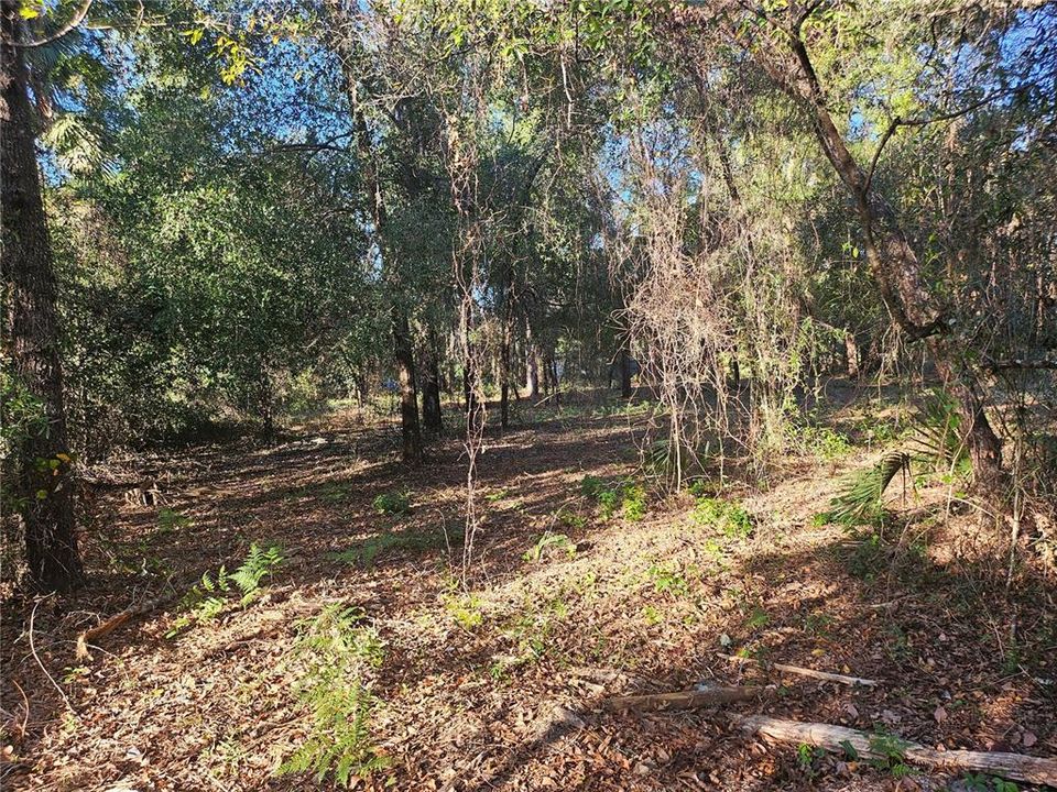En Venta: $55,000 (1.06 acres)