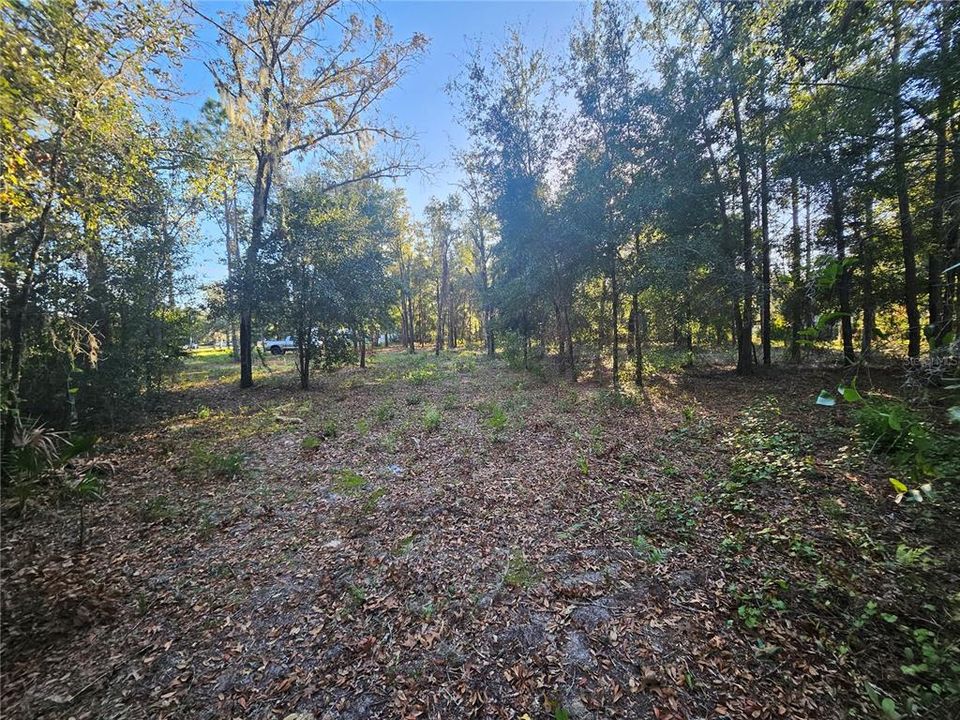 En Venta: $55,000 (1.06 acres)