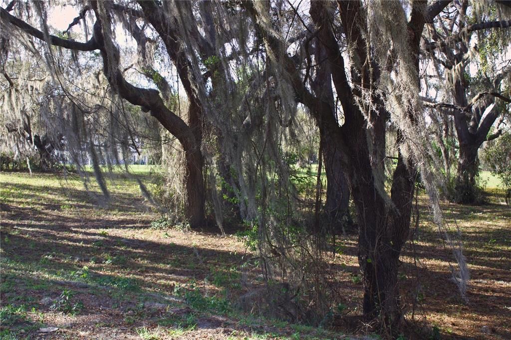 En Venta: $199,999 (1.57 acres)