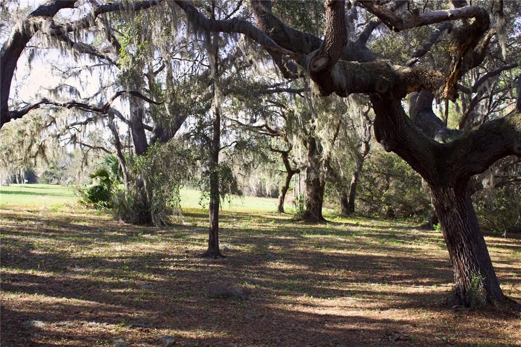 En Venta: $199,999 (1.57 acres)