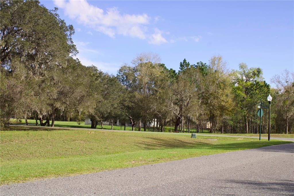 En Venta: $199,999 (1.57 acres)