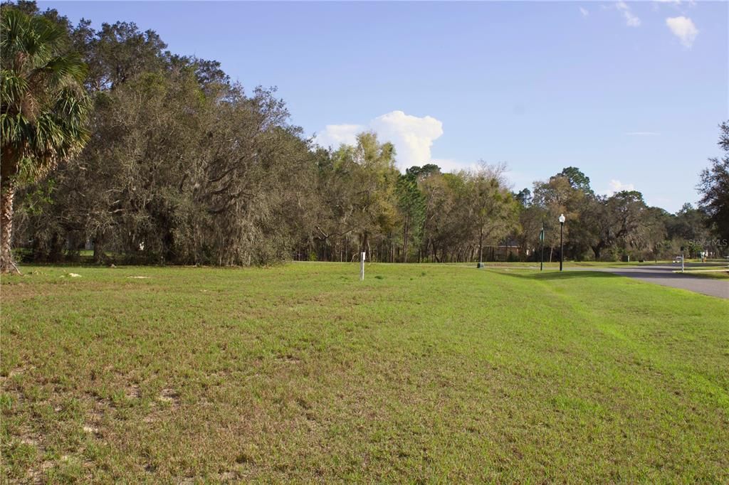 En Venta: $199,999 (1.57 acres)