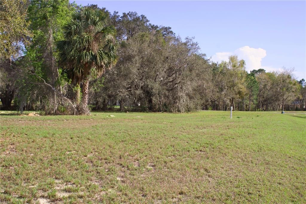 En Venta: $199,999 (1.57 acres)
