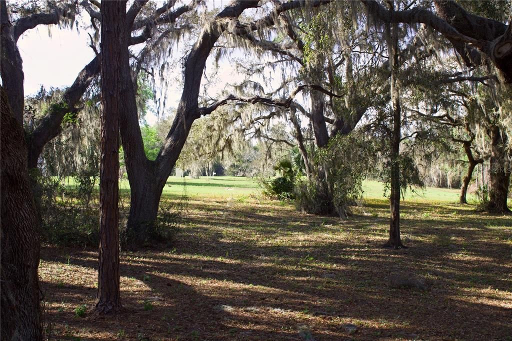 En Venta: $199,999 (1.57 acres)