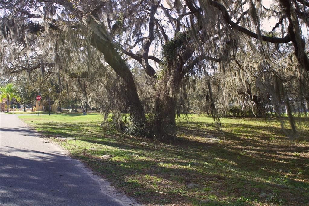 En Venta: $199,999 (1.57 acres)