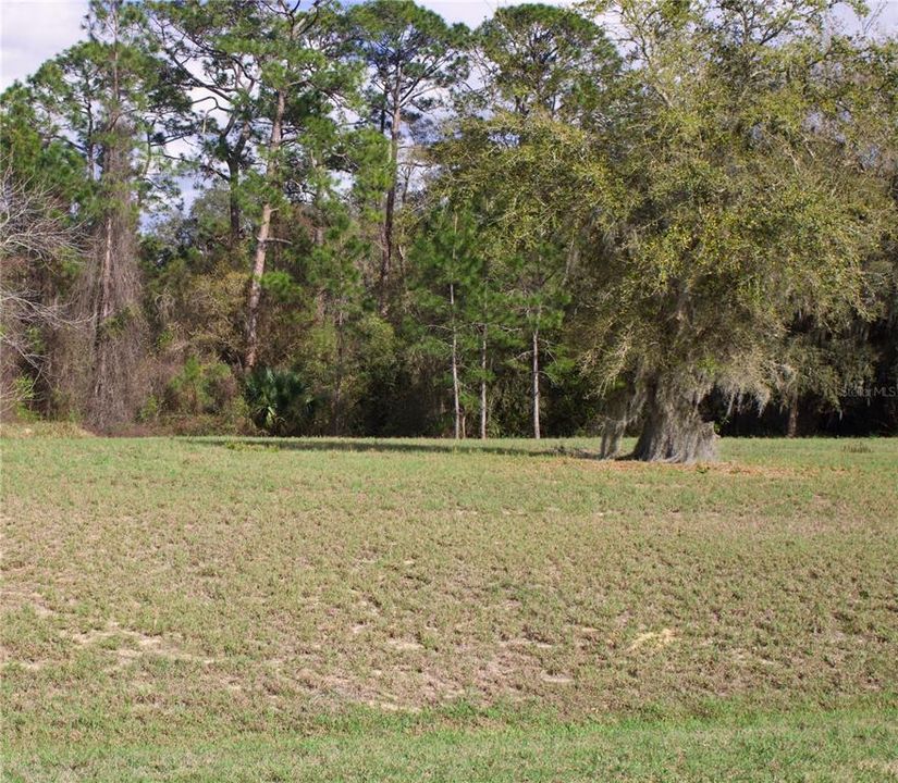 En Venta: $199,999 (1.57 acres)