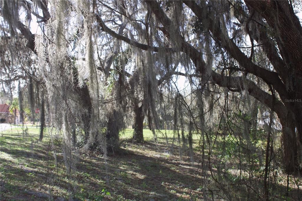 En Venta: $199,999 (1.57 acres)