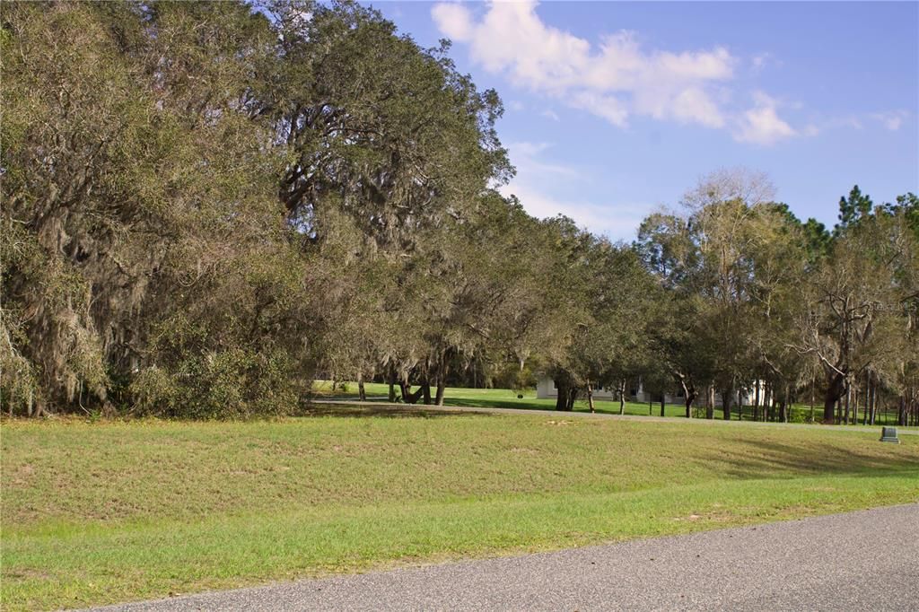 En Venta: $199,999 (1.57 acres)