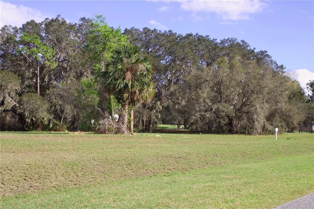 En Venta: $199,999 (1.57 acres)