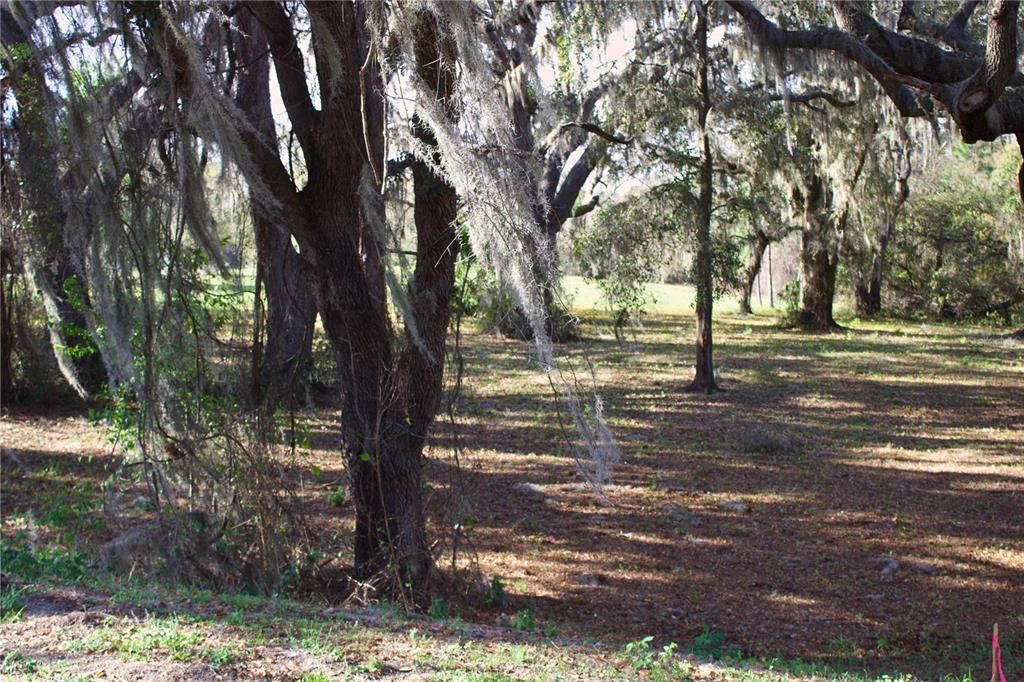 En Venta: $199,999 (1.57 acres)