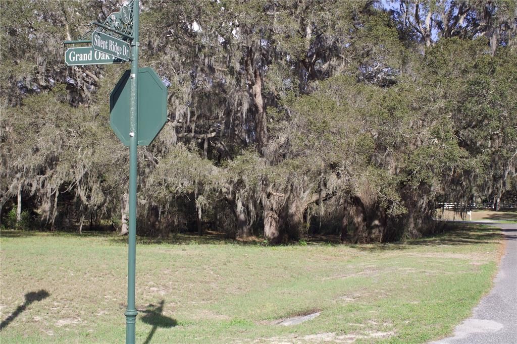 En Venta: $199,999 (1.57 acres)