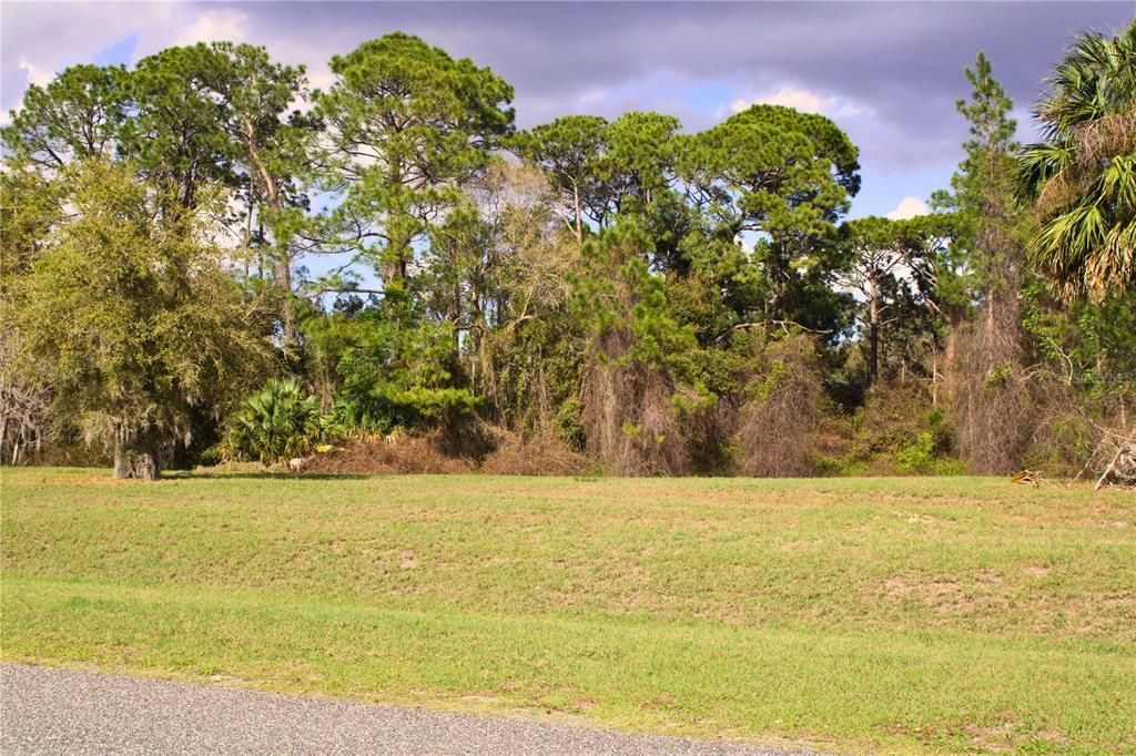 En Venta: $199,999 (1.57 acres)