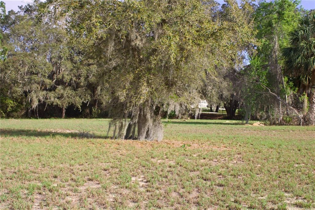 En Venta: $199,999 (1.57 acres)