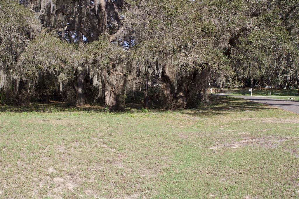 En Venta: $199,999 (1.57 acres)