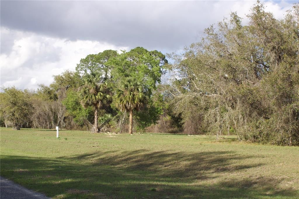 En Venta: $199,999 (1.57 acres)