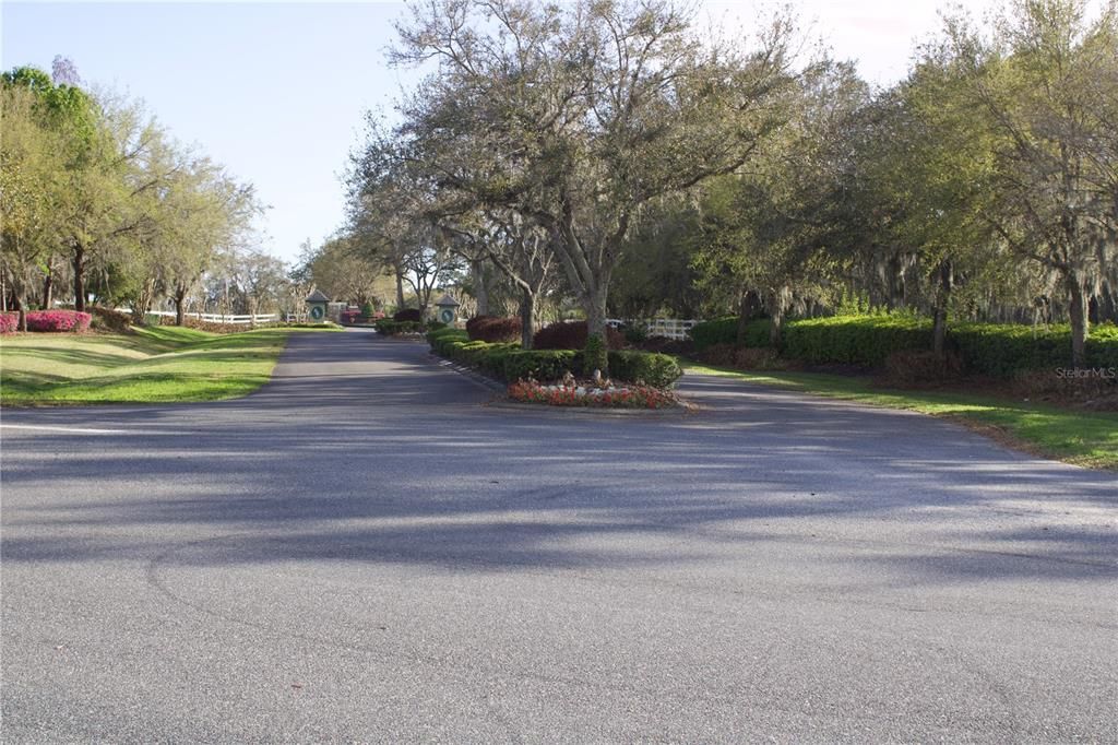 En Venta: $199,999 (1.57 acres)