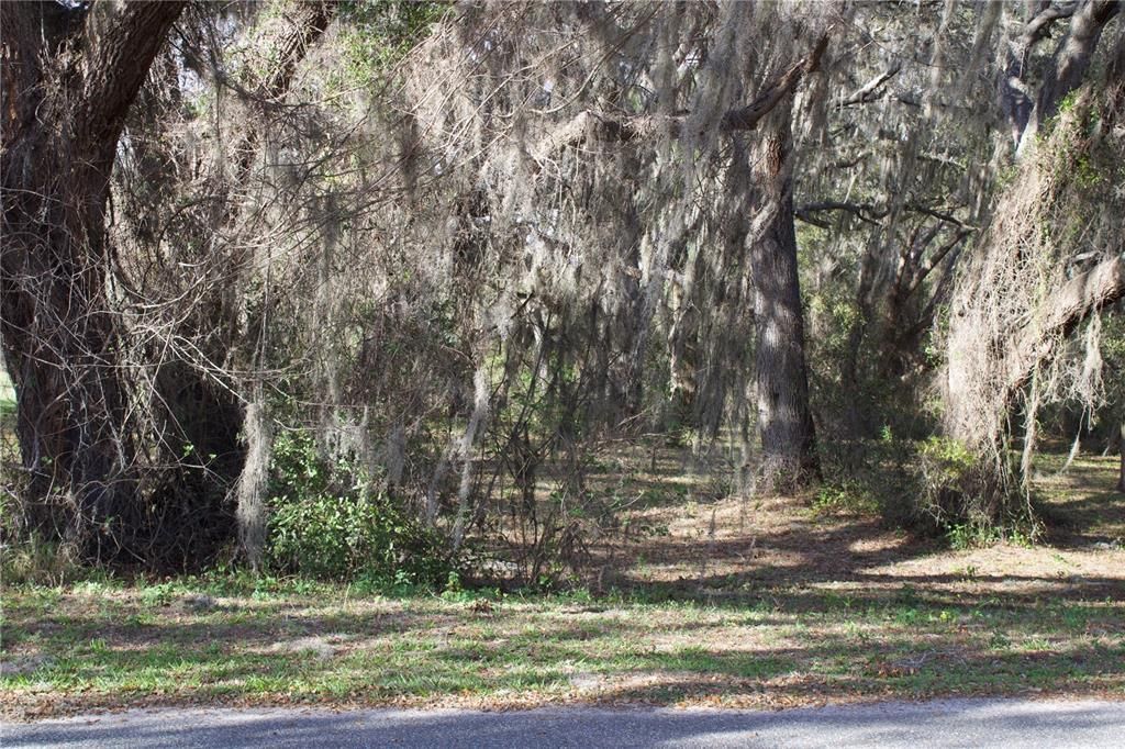 En Venta: $199,999 (1.57 acres)