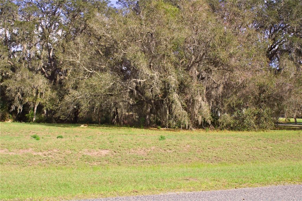 En Venta: $199,999 (1.57 acres)