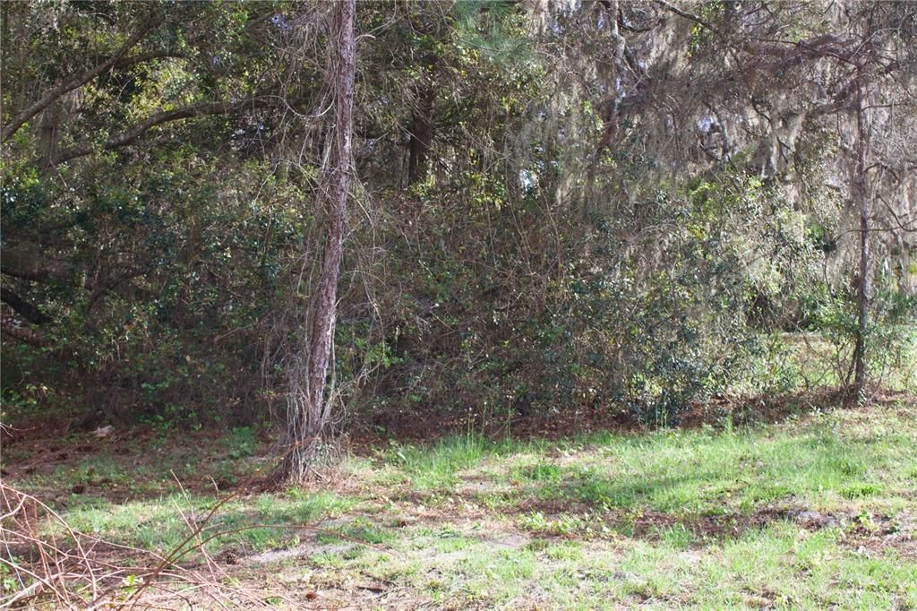 En Venta: $199,999 (1.57 acres)