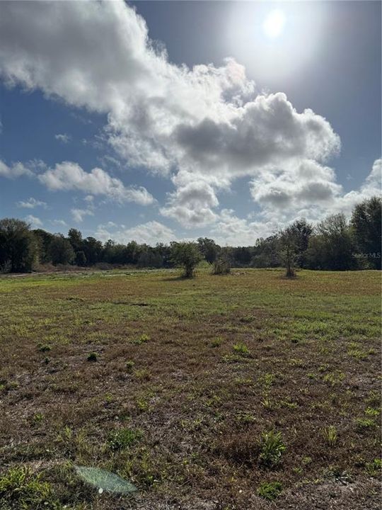 待售: $209,900 (1.19 acres)