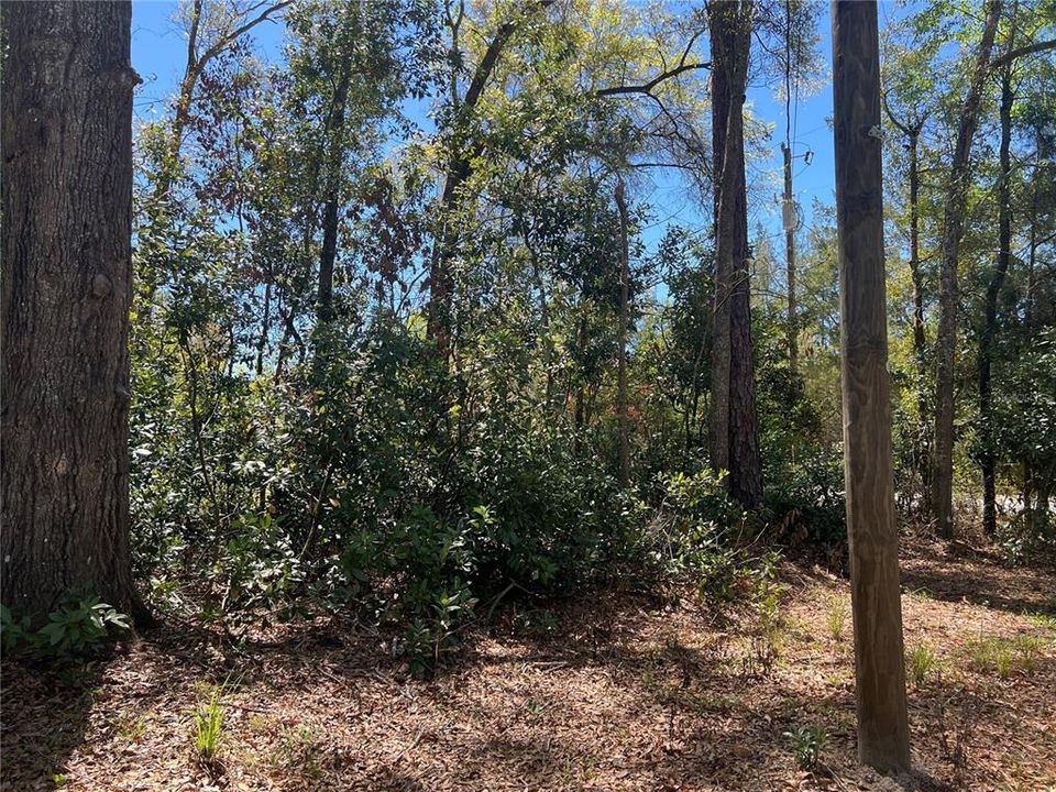 На продажу: $195,000 (3 спален, 2 ванн, 1140 Квадратных фут)