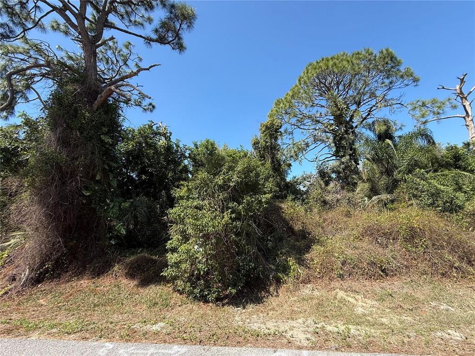 Под контрактом: $225,000 (0.52 acres)